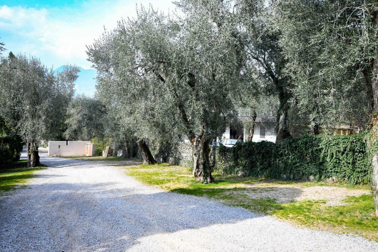 Residence Kormorano Malcesine Lake View Buitenkant foto